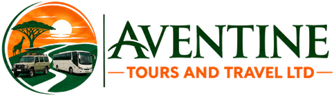 Aventine Tours and Travel